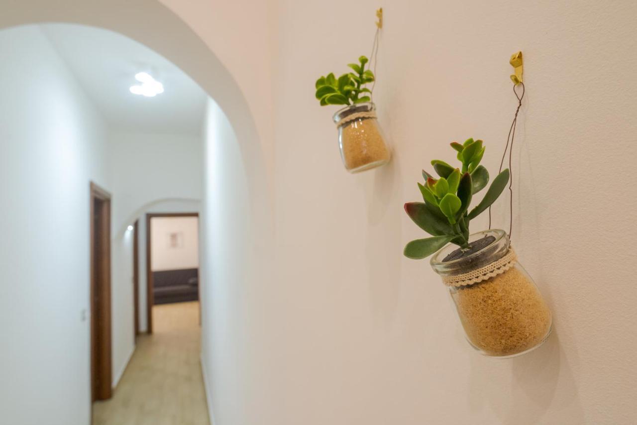 Barraco's House Apartment *